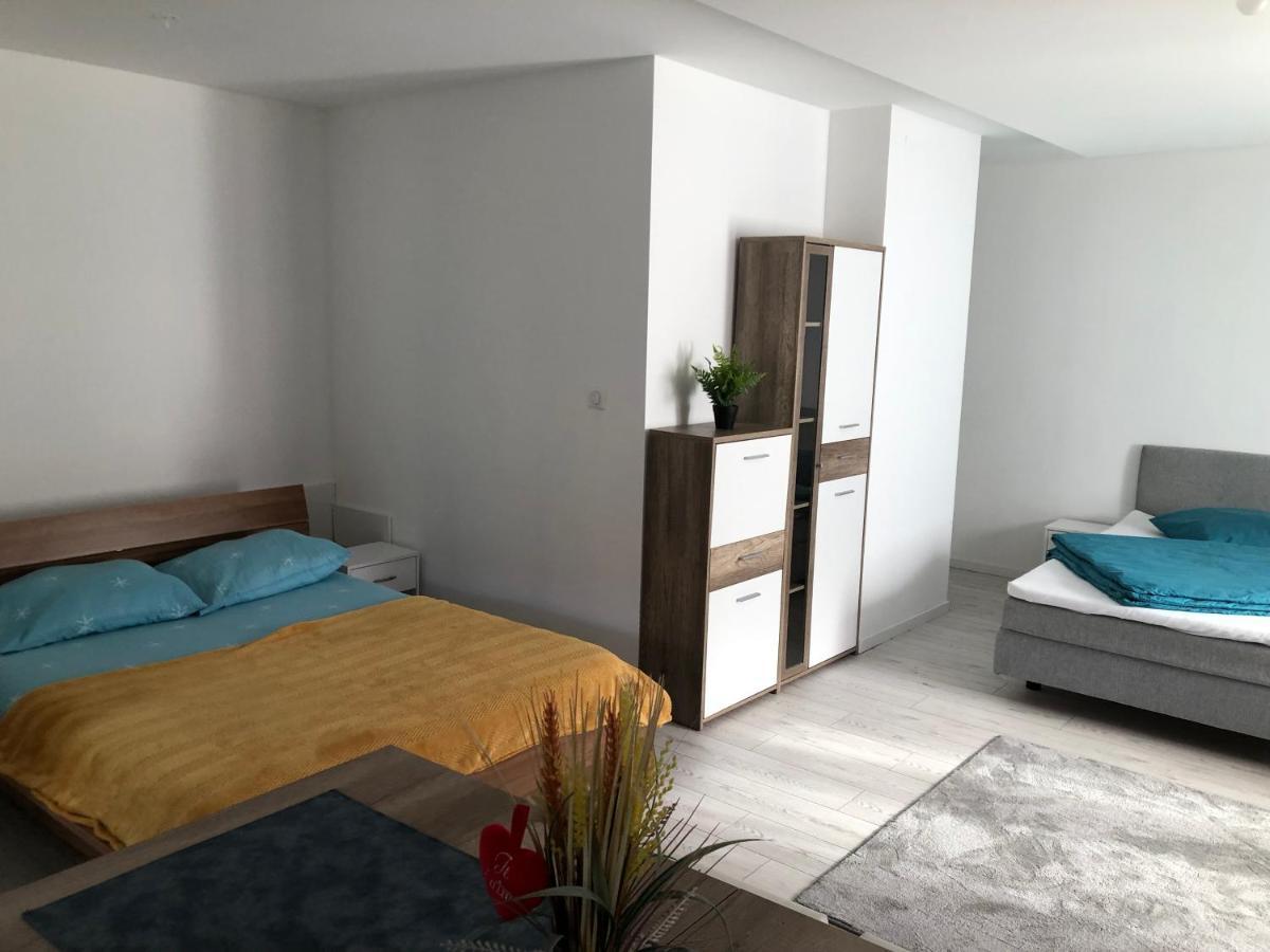 Appartement Willa Chez Willi Niederschaeffolsheim المظهر الخارجي الصورة